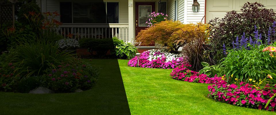 Knox Landscapers