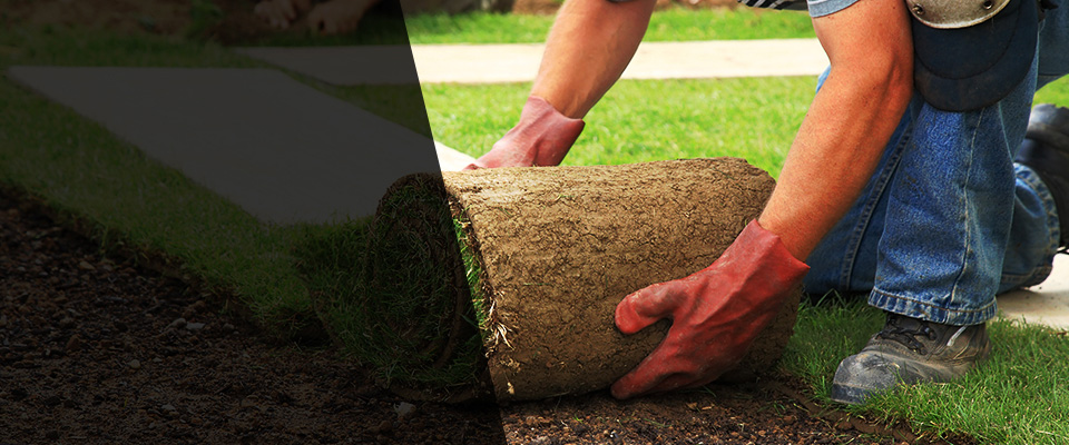 Knox Landscapers
